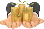 Dual Capital Bank